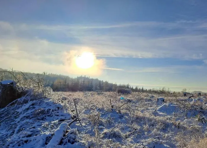 Cafe- Fernblick, Incl Meinecardplus 빌링겐